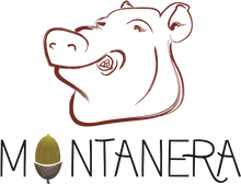 Montanera